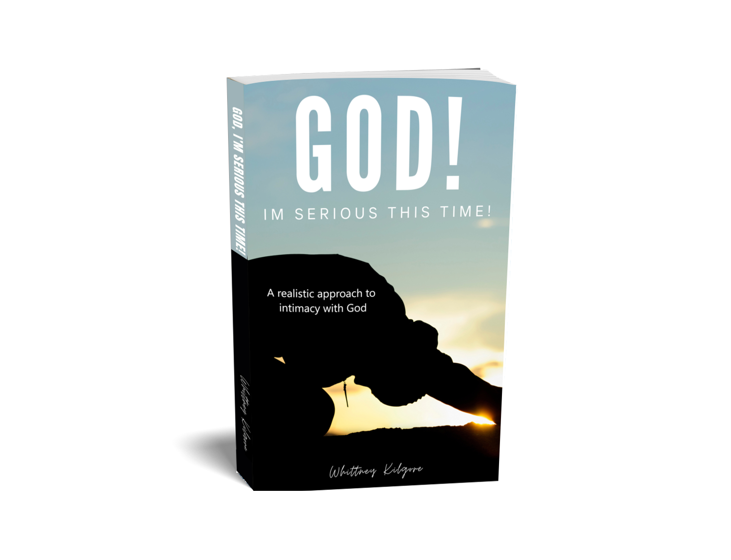 God, I'm Serious This Time! (Book)